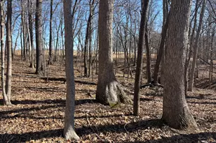 1742 Tanglewood Dr, Varna, IL 61375 - Photo 1