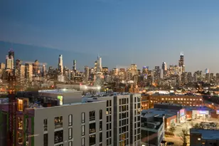 860 W Blackhawk St, Chicago, IL 60622 - Photo 21