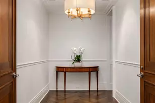 159 E Walton Pl, Chicago, IL 60611 - Photo 19