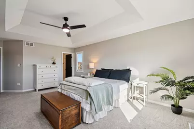 24395 Patriot Lane, Crete, IL 60417 - Photo 13