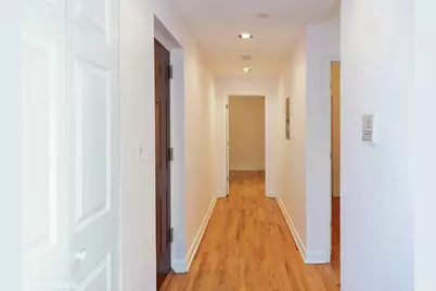 102 N Hamlin Boulevard #D1, Chicago, IL 60624 - Photo 13