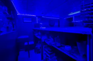 4850 N Monticello Ave, Chicago, IL 60625 - Photo 27