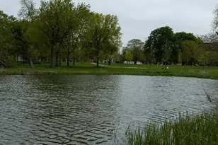 3806 W Washington Blvd, Chicago, IL 60624 - Photo 31