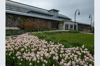 3806 W Washington Boulevard #D1, Chicago, IL 60624 - Photo 33