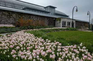 3806 W Washington Blvd, Chicago, IL 60624 - Photo 33