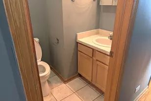 515 S Campbell Ave, Chicago, IL 60612 - Photo 11