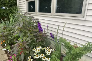 23231 W Lakeshore Dr, Antioch, IL 60002 - Photo 5