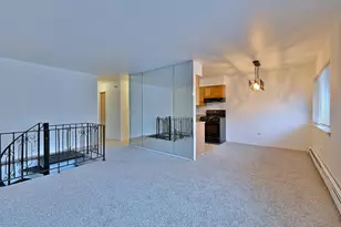 8637 1/2 W Foster Ave, Chicago, IL 60656 - Photo 13