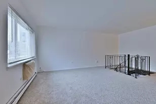 8637 1/2 W Foster Ave, Chicago, IL 60656 - Photo 9