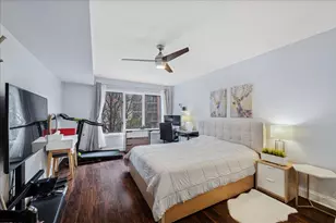 10 S Wille St, Mount Prospect, IL 60056 - Photo 19