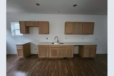 7133 S Constance Avenue, Chicago, IL 60649 - Photo 9