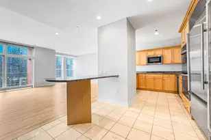 415 E North Water St, Chicago, IL 60611 - Photo 13