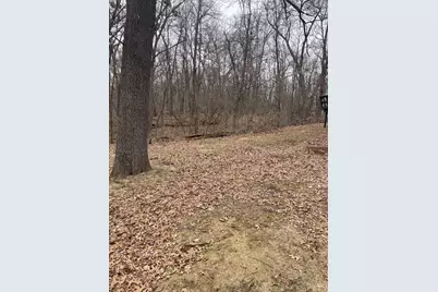 55 Fair Oaks Drive, Putnam, IL 61560 - Photo 5