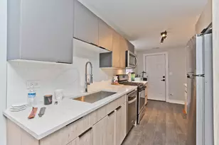 1702 S Morgan St, Chicago, IL 60608 - Photo 5