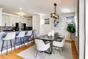 3942 N Kolmar Ave, Chicago, IL 60641 - Photo 9