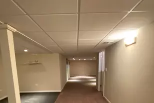 1156 Bristlecone Ct, Darien, IL 60561 - Photo 13