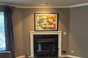 1156 Bristlecone Ct, Darien, IL 60561 - Photo 9