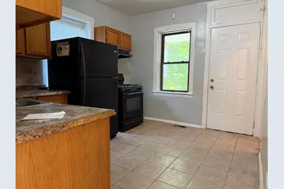 8411 S Elizabeth Street, Chicago, IL 60620 - Photo 9