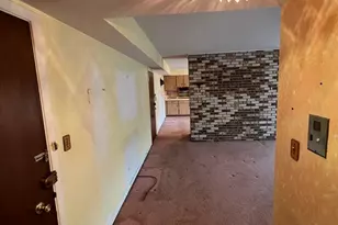 8210 Elmwood Ave, Skokie, IL 60077 - Photo 19