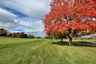 23938 N Cypress Ct, Kildeer, IL 60047 - Photo 9