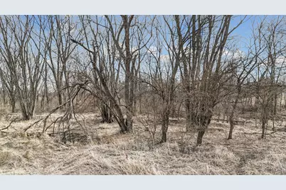 N 2545 E Road, Farmer City, IL 61842 - Photo 3