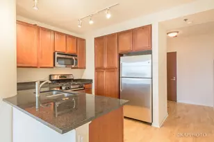 1255 S State St, Chicago, IL 60605 - Photo 9