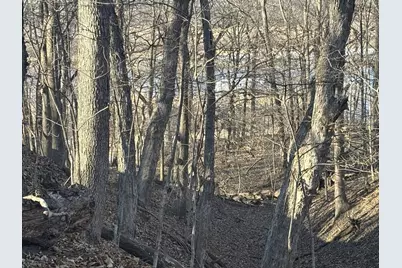 2960 N 2553rd Road, Seneca, IL 61360 - Photo 9