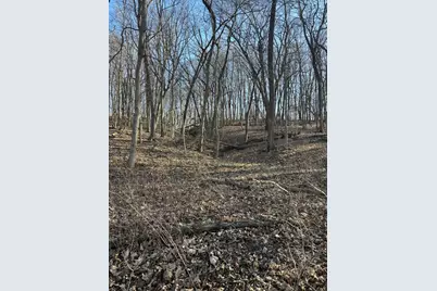 2960 N 2553rd Road, Seneca, IL 61360 - Photo 5