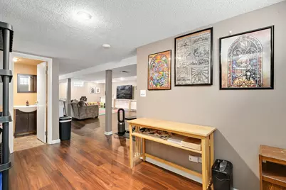 8206 Mango Avenue, Morton Grove, IL 60053 - Photo 27