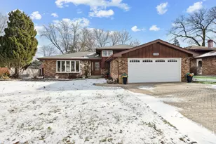 10033 S 87th Ave, Palos Hills, IL 60465 - Photo 1