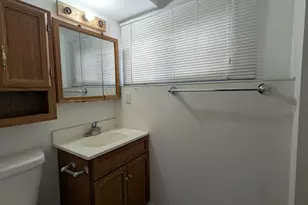 4230 Lindley Street N, Downers Grove, IL 60515 - Photo 11