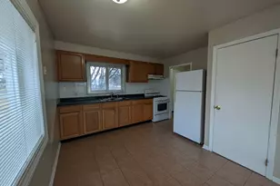 4230 Lindley Street N, Downers Grove, IL 60515 - Photo 3