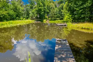 690 Ganntown Ln, Grantsburg, IL 62943 - Photo 37