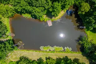 690 Ganntown Ln, Grantsburg, IL 62943 - Photo 45