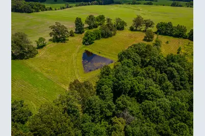 690 Ganntown Lane, Grantsburg, IL 62943 - Photo 41