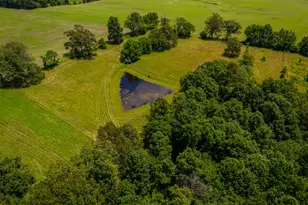 690 Ganntown Ln, Grantsburg, IL 62943 - Photo 41