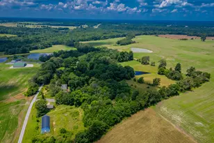 690 Ganntown Ln, Grantsburg, IL 62943 - Photo 55