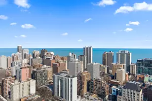 1122 N Clark St, Chicago, IL 60610 - Photo 47