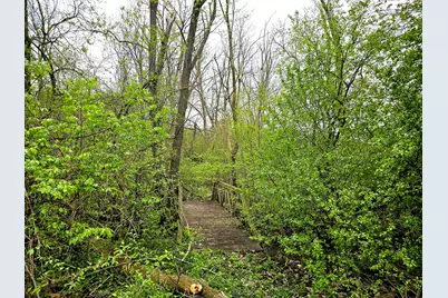 6420 Thurlow Street, Willowbrook, IL 60527 - Photo 11