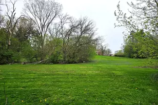 6420 Thurlow St, Willowbrook, IL 60527 - Photo 9