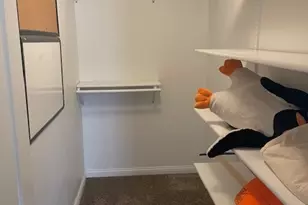 19830 Mulroy Cir, Tinley Park, IL 60487 - Photo 19