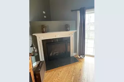 19830 Mulroy Circle, Tinley Park, IL 60487 - Photo 11