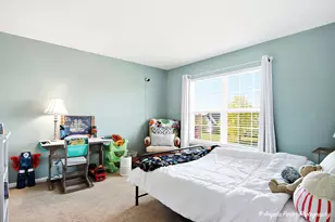 3109 Talismon Ln, Johnsburg, IL 60051 - Photo 23