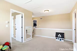 3109 Talismon Ln, Johnsburg, IL 60051 - Photo 29