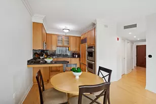 25 E Superior St, Chicago, IL 60611 - Photo 9