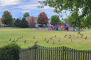 1190 Alpine Ln, Elgin, IL 60120 - Photo 57