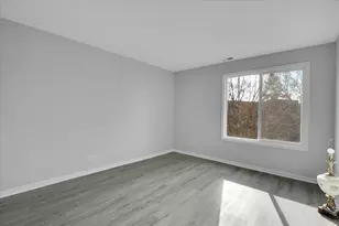 245 S Park Ln, Palatine, IL 60074 - Photo 17