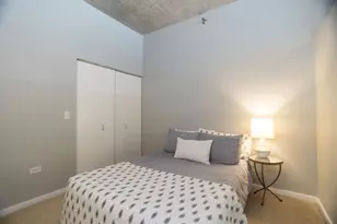 1620 S Michigan Ave, Chicago, IL 60616 - Photo 7