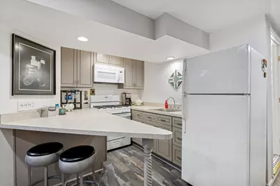 808 S Bishop Street, Chicago, IL 60607 - Photo 23