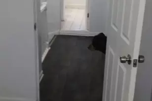 [Address not provided], Chicago, IL 60619 - Photo 7